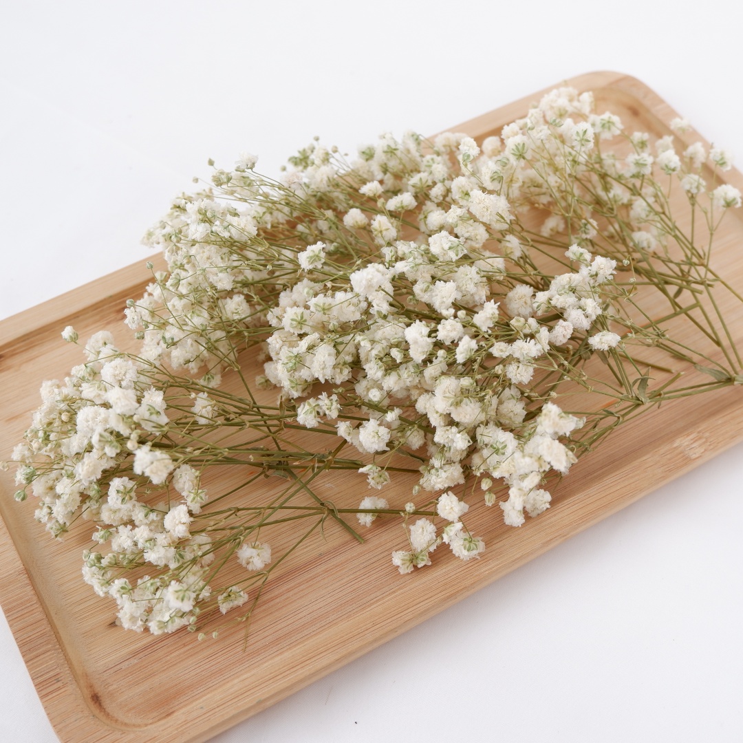Getrocknete Blumen, weiße Mini – Flower Girl Basket Bewertung und Preis
