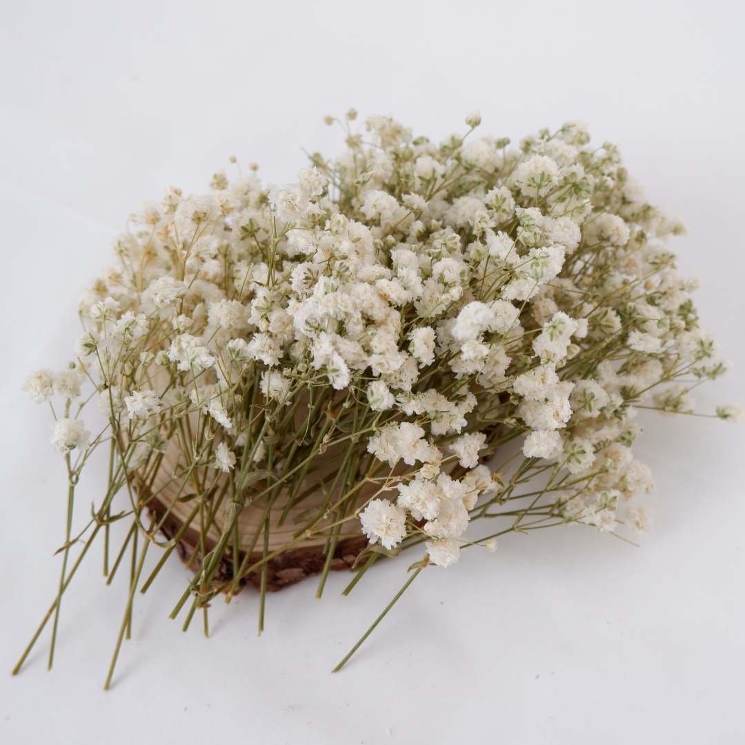 Getrocknete Blumen, weiße Mini – Flower Girl Basket Bewertung und Preis