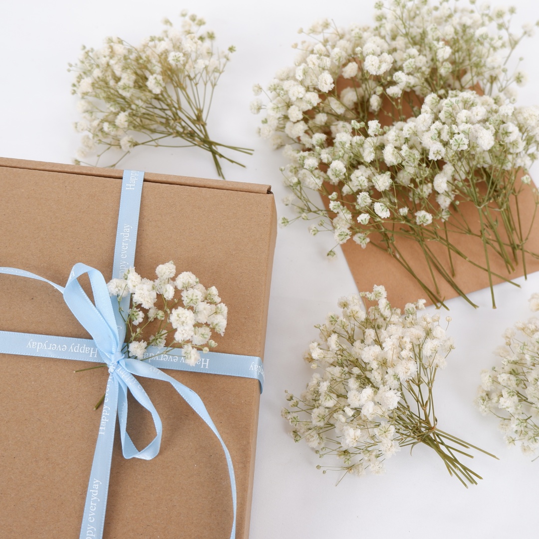 Getrocknete Blumen, weiße Mini – Flower Girl Basket Bewertung und Preis